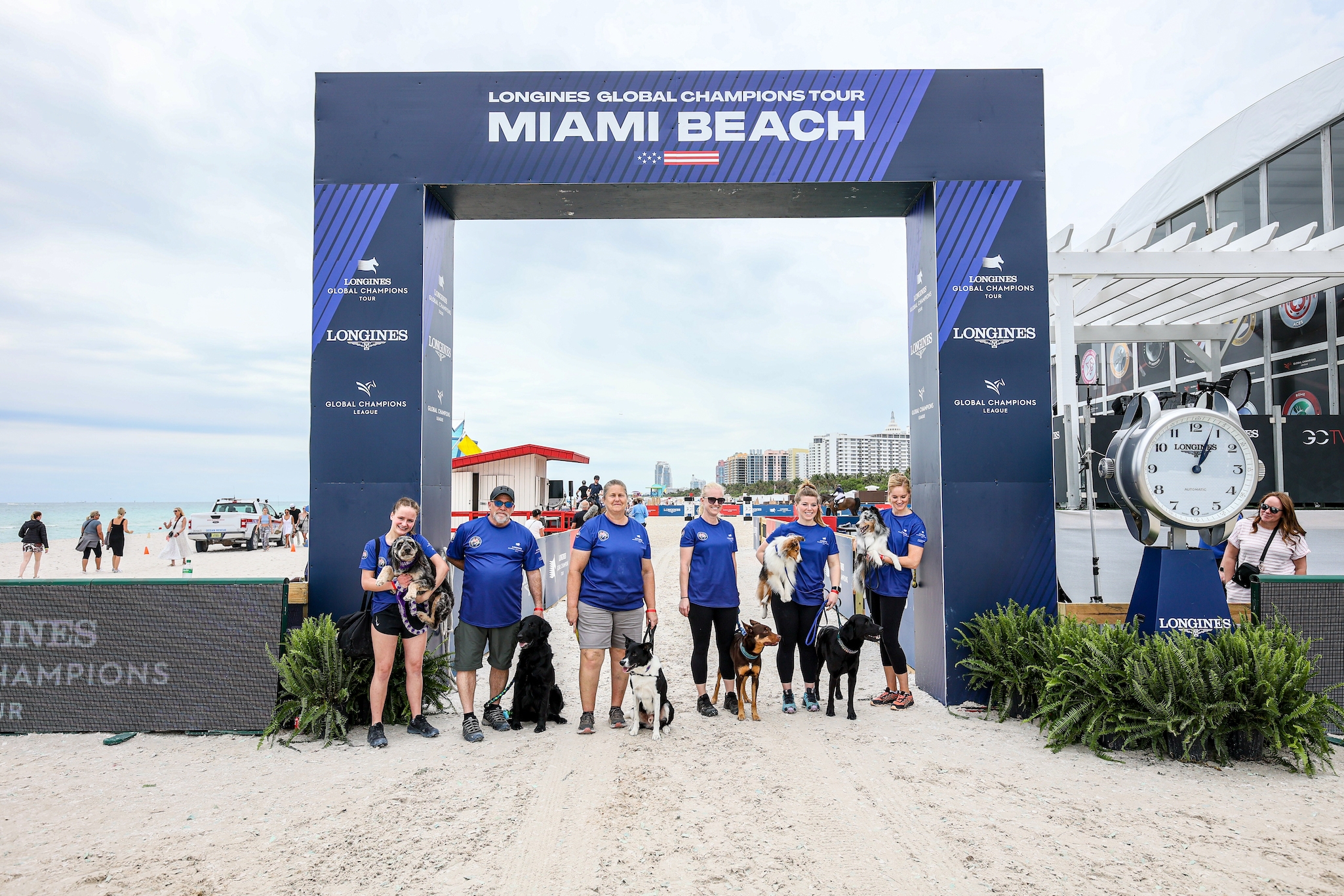 In Pictures Agility Dogs Jumped Into the Spotlight at LGCT Miami Beach